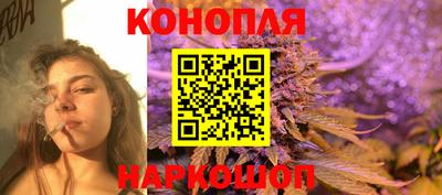 прущие крисы Камышлов