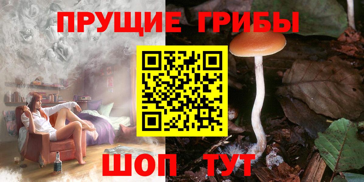 Галлюциногенные грибы мухоморы  Вход с VPN  Краснознаменск 